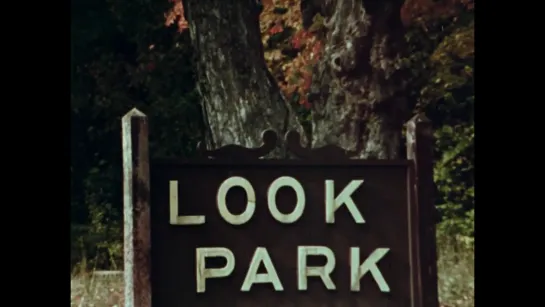 Look Park (1974) dir. Ralph Steiner