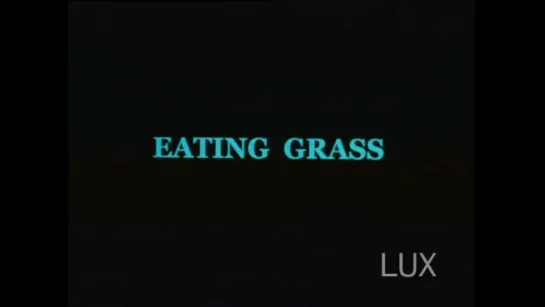 Eating Grass (2003) dir. Alia Syed