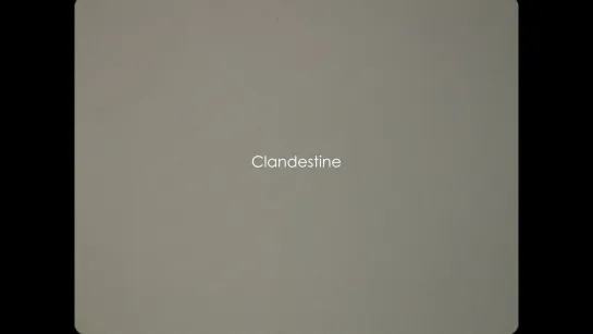 Clandestine (2015) dir. Atoosa Pour Hosseini [1080p]