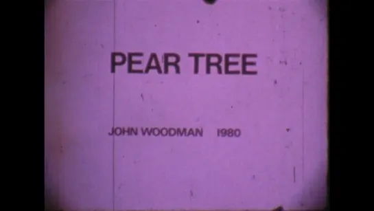 Pear Tree (1980) dir. John Woodman