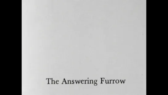 The Answering Furrow (1985) dir. Marjorie Keller