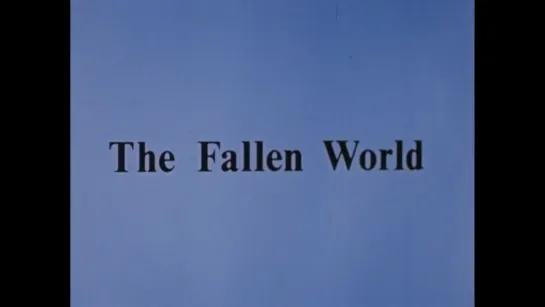 The Fallen World (1983) dir. Marjorie Keller