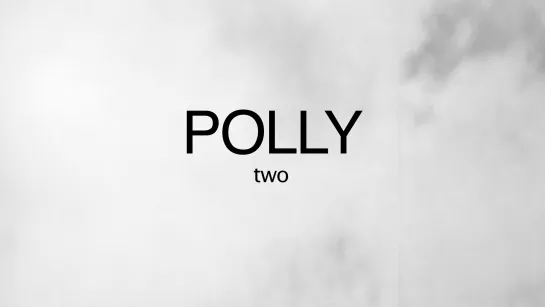 Polly Two (2018) dir. Kevin Jerome Everson [1080p]