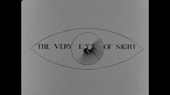 Истинный вид ночи / The Very Eye of Night (1958) dir. Maya Deren [1080p]