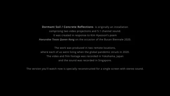 Dormant Soil/Concrete Reflections (Online Version) (2020) dir. Rei Hayama, Zai Tang [1080p]