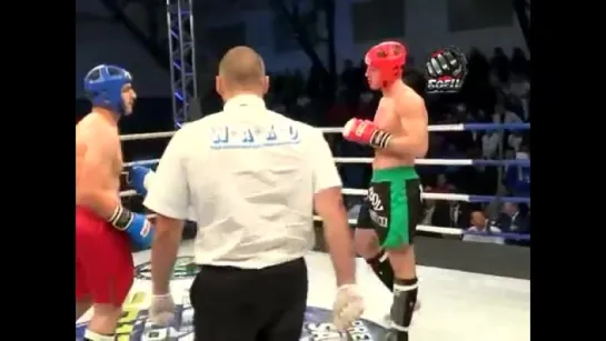 Чемпионат мира по кикбоксингу в разделах Low Kick и К-1 2014г