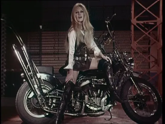 Brigitte Bardot — Harley Davidson • Divine B.B.