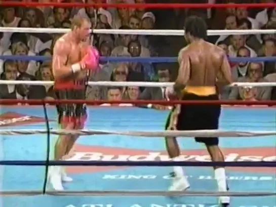 Lennox Lewis vs Tommy Morrison