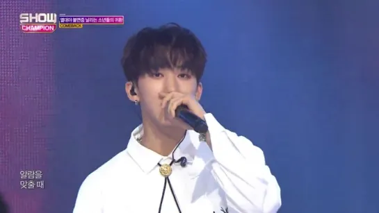 [180815] Stray Kids - Insomnia » Show Champion