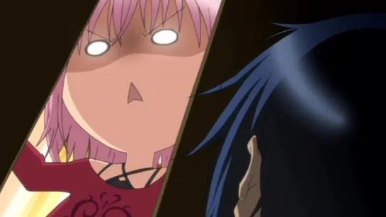 AMV Shugo Chara