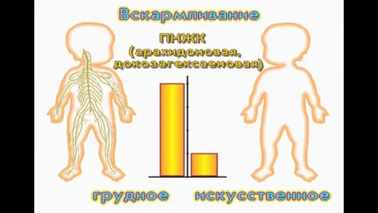 Вскармливание детей первого года жизни © Feeding infants