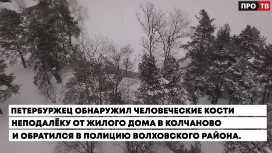 «Подсмотрено в…» от 25.08.2021