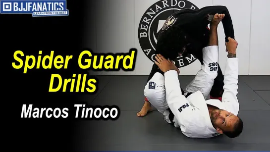 Marcos Tinoco - Spider Guard Drills