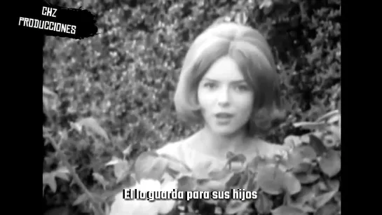 France Gall - Les Rubans et la Fleur (Subtitulada al Español)(1964)