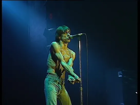 Iggy Pop — Lust For Life • Iggy In At Olimpia,paris – 15 Марта 1991 Года