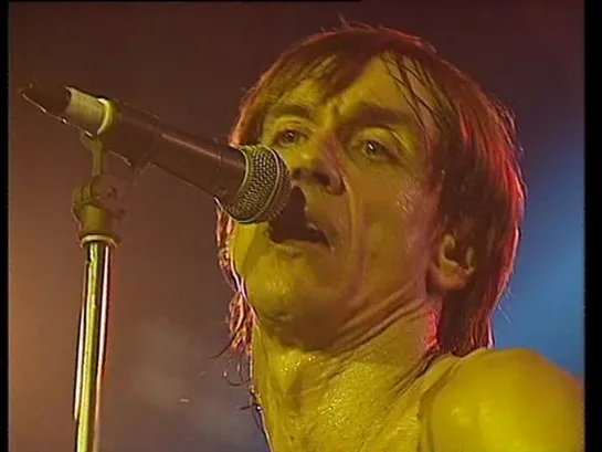 Iggy Pop — Home • Iggy In At Olimpia,paris – 15 Марта 1991 Года