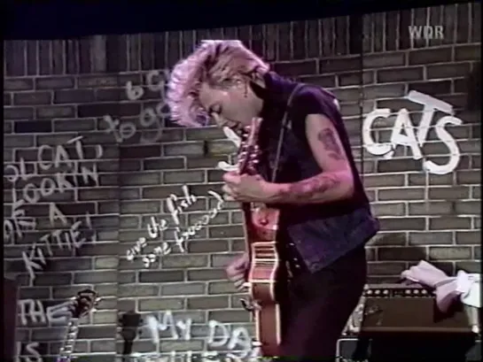 Stray Cats — Drink That Bottle Down • 1981-07-16 - Sartory-Sale Koln - Germany