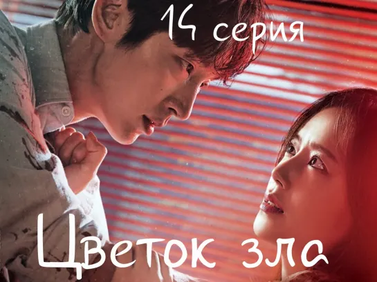 (14) Цветок зла 14 серия