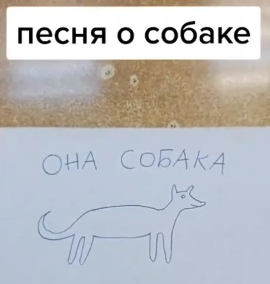 песня о собаке