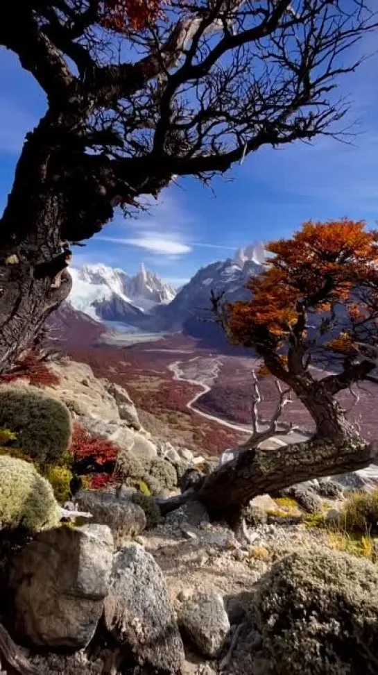 Patagonia