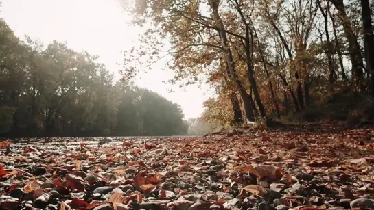 Песня, Словно счастливый сон!