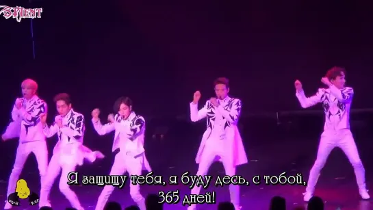 SHINee - 365 (fancam) [рус.саб]