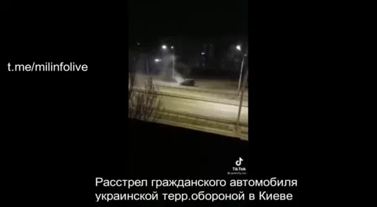 Наглядный пример убийства мирных жителей Киева вооруженными обезьянами из "Территориальной обороны"