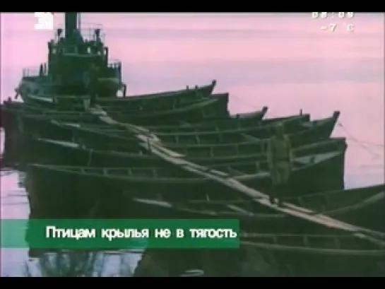 Птицам крылья не в тягость (1989)