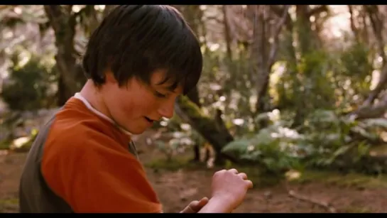 Мост в Терабитию / Bridge to Terabithia (2007) США