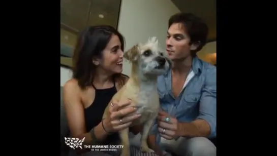 iansomerhalder_2015-10-28_05-55-05