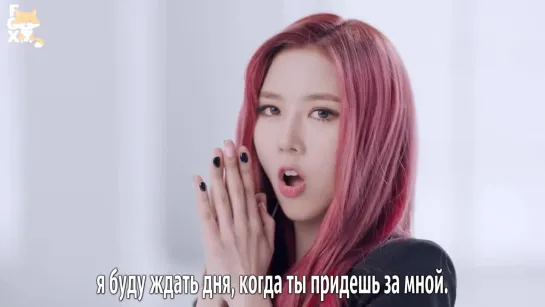 [FSG FOX] Dreamcatcher - PIRI |рус.саб|