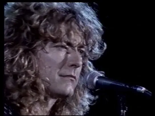 LED ZEPPELIN  - 4.08.1979 - Knebworth ( DVD - 2009 )