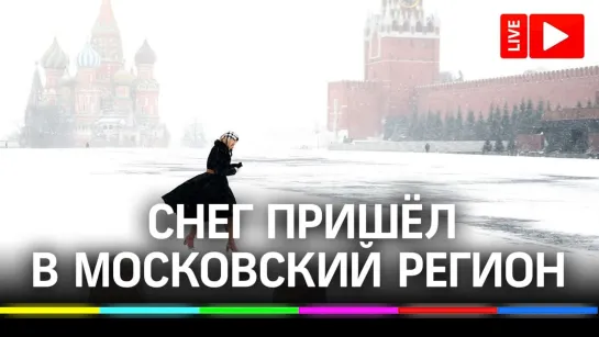 Снег пришел в Московский регион - зима пришла! Прямая трансляция