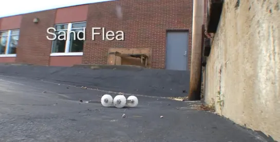 Sand Flea Jumping Robot