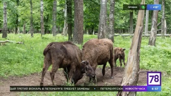 "Полезное утро" об экотуризме