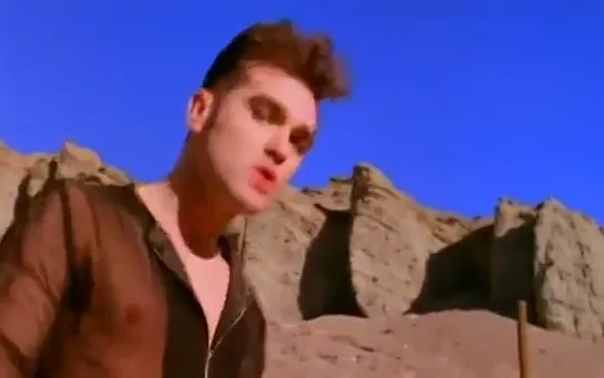 Morrissey - November Spawned A Monster (1990)