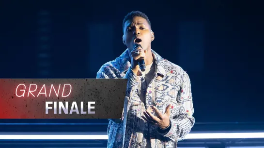 Johnny Manuel - My Heart Will Go On (The Voice Australia 2020)