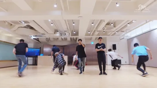 EXO 전야 (前夜) (The Eve) Dance Practice ver.