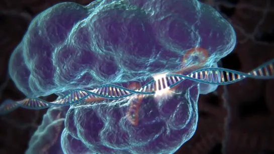 Genome Editing with CRISPR-Cas9