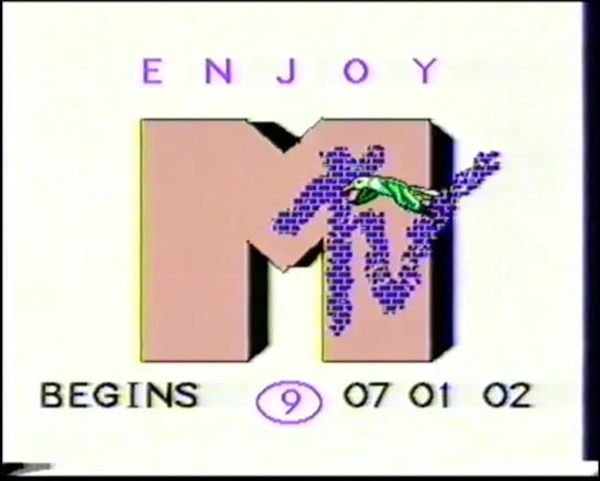 Enjoy MTV Россия 9 (2002)