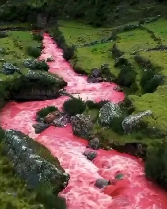 Знаменитая красная река в долинах Куско, Перу