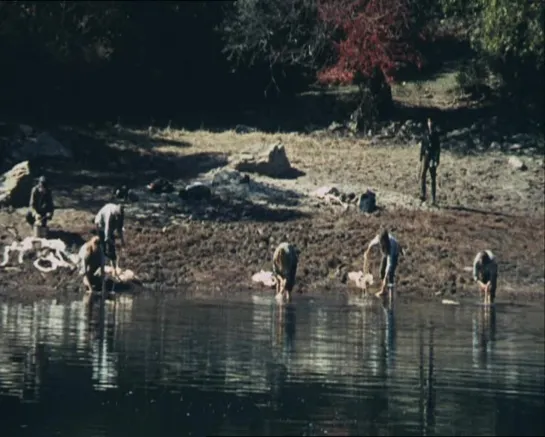 Девятнадцать девушек и один моряк (Югославия, 1971) военный, детектив, Джейн Биркин, Серж Генсбур