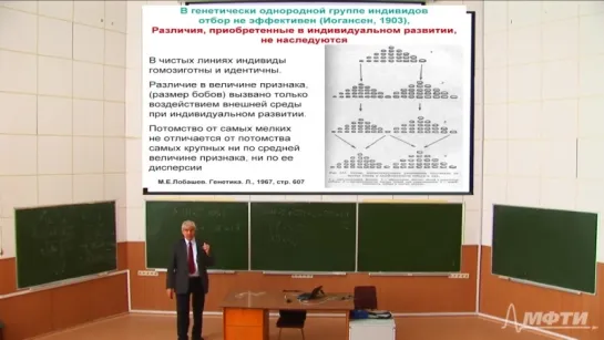 Biology Genetics L06 Yankovskiy 130318 02