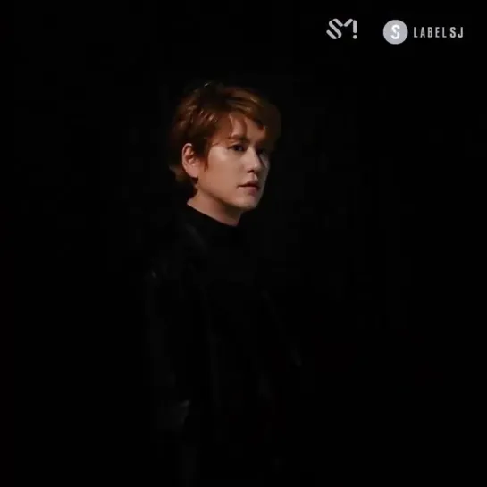 SUPERJUNIOR [TIMELESS] JACKET FILM Shadow ver. KYUHYUN