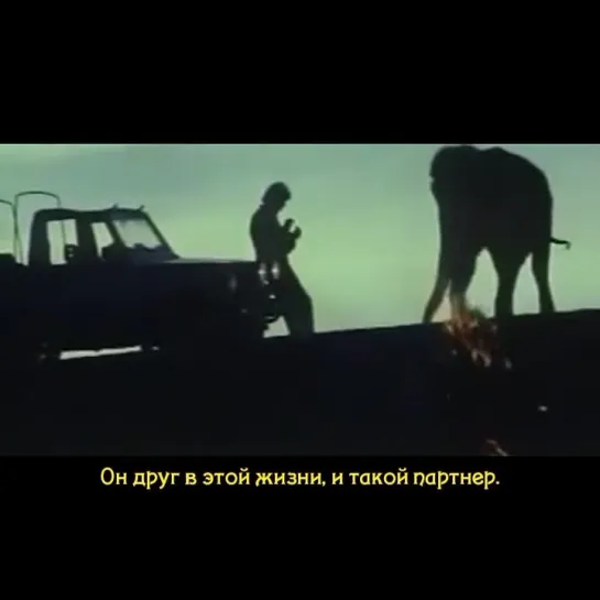 🔥Haathi Mera Yaar (с рус.суб) Месть слона / Jodidar