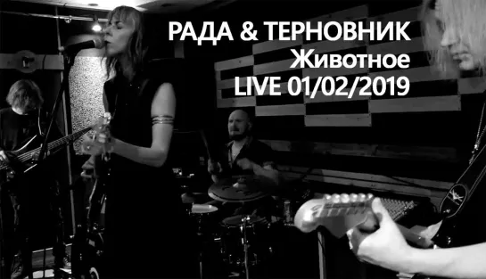 Рада & Терновник - Животное (LIVE 01/02/19)