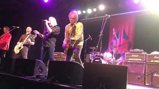 Radio Birdman — New Race (live)