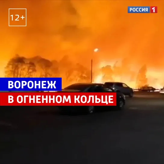 Пожары в Воронежской области — Россия 1