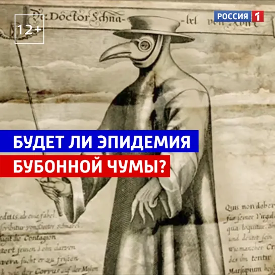 Грозит ли России эпидемия бубонной чумы? — Россия 1