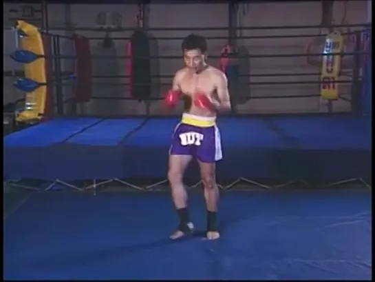 Kicks  Knees for Muay Thai